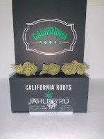 Tortoise & Hare Delivery Services Website