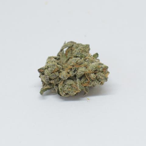 Cannabud Runner Website