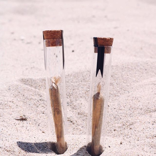 From The Earth - Santa Ana Website