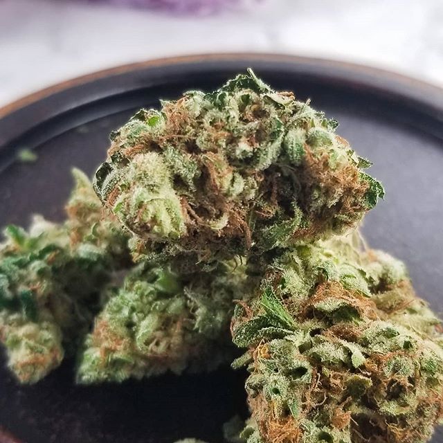 Greenleaf Compassionate Care Center, Inc. Website