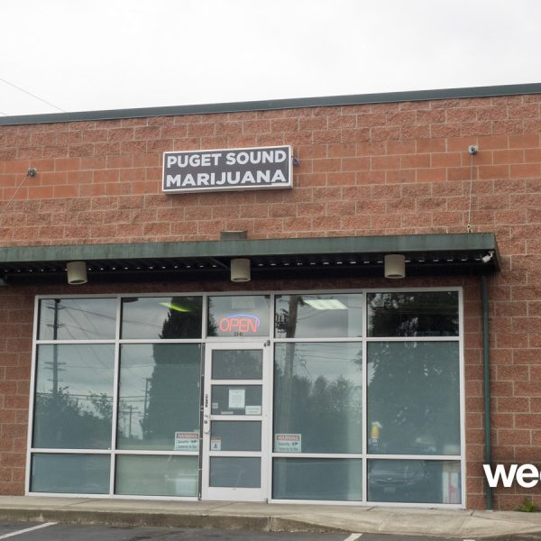 A Greener Today - Lynnwood Website