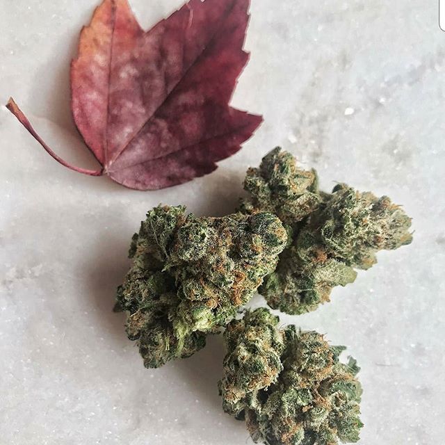 Patriot Care Lowell (Medical Only) Website