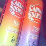 The Reef - Seaside Website