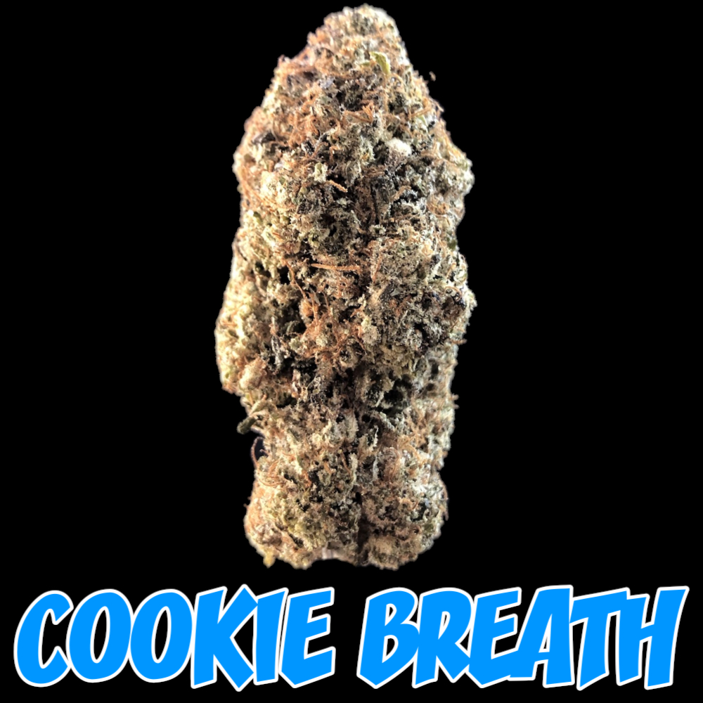 Healthy Greens Delivery Website