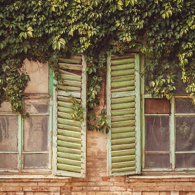 The Botanist - Middletow Website