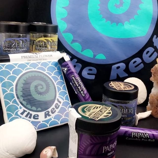 The Reef - Seaside Website