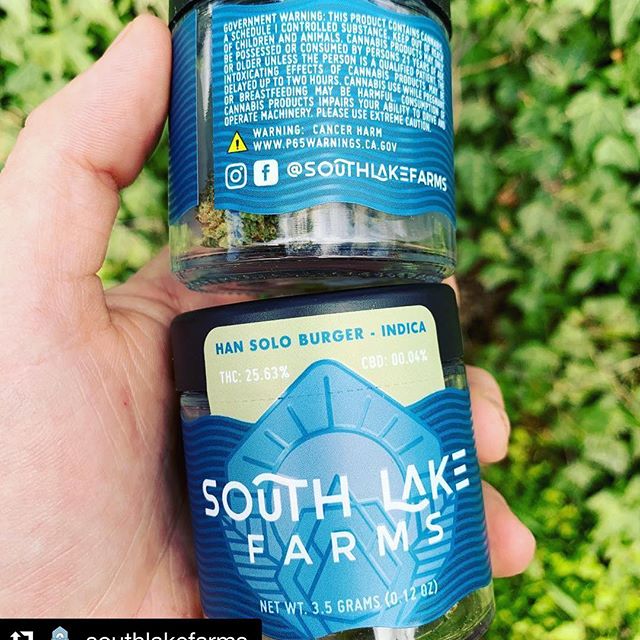 Lakeside Herbal Solution Website