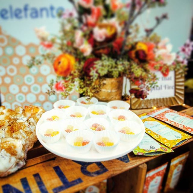 Elefante Inc Website