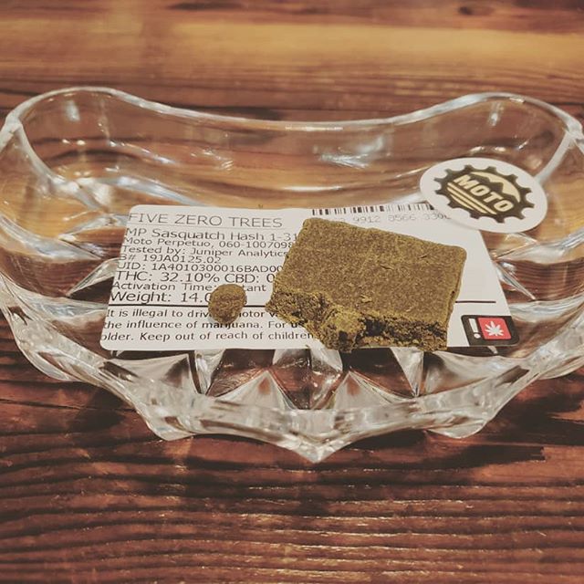 Five Zero Trees East Website