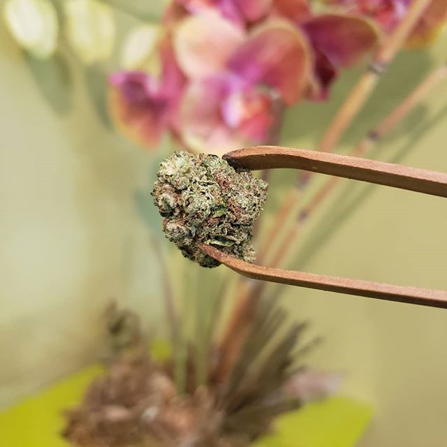 Market Street Wellness Website