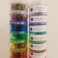 Tortoise & Hare Delivery Services Website