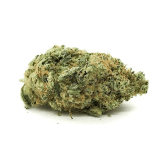 The Healing Center San Diego Website