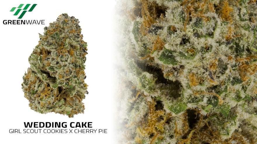 Greenwave Medical Marihuana Provisioning Center Website