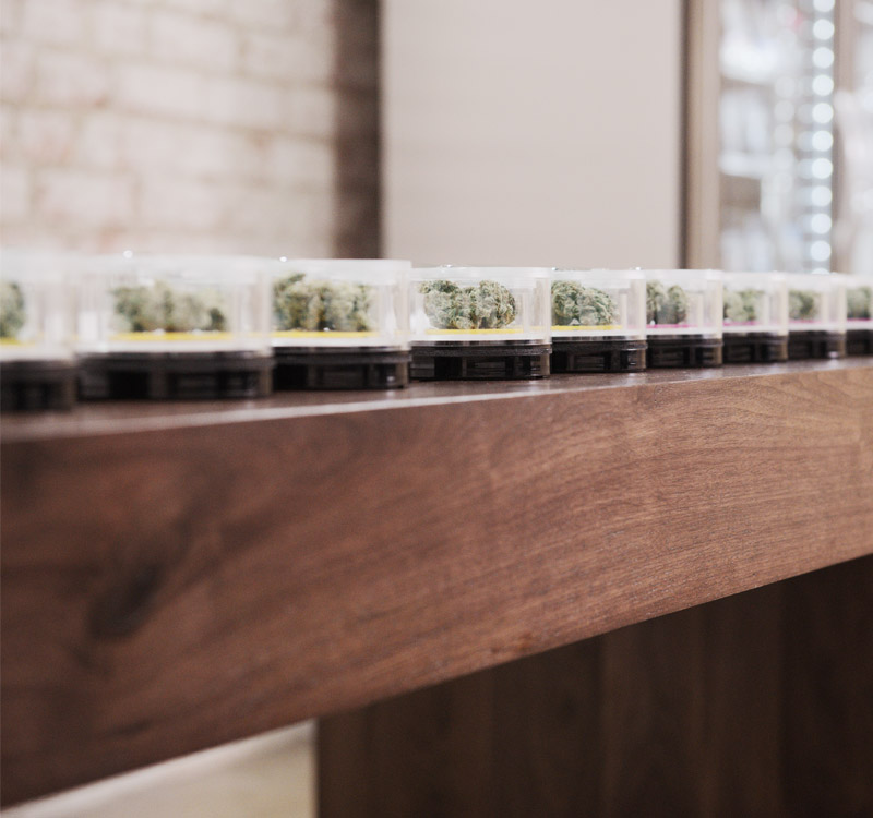 Level Up Powered by MedMen Website