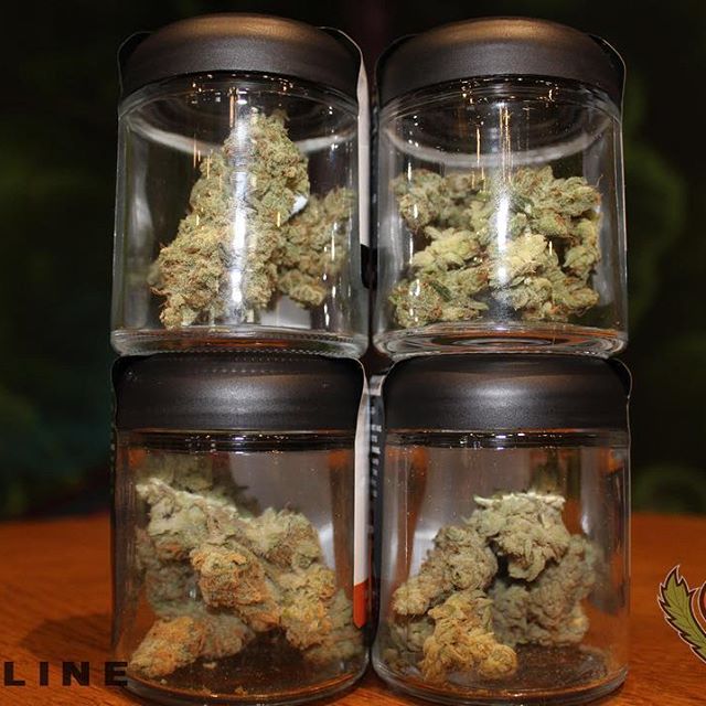 Loving Farms - Mount Vernon Website