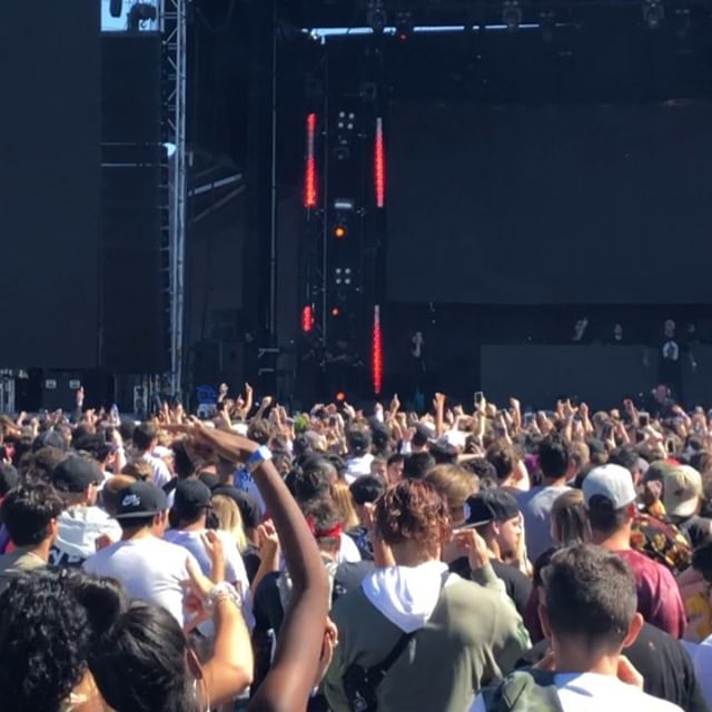 Elite - Lacey Website