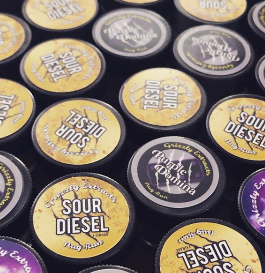 Blue Bird Delivery - Dana Point Website