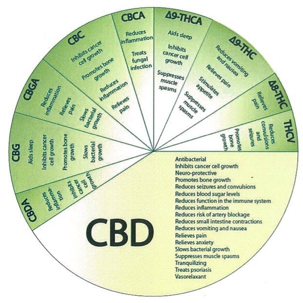 CBDepot - Estes Park Website