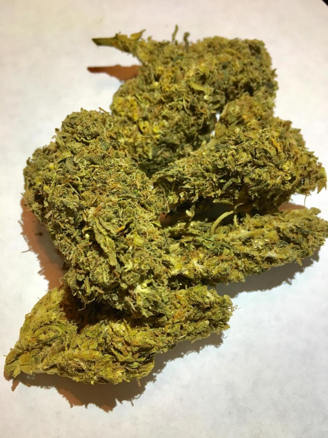 Power Plants Inc Website