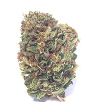 Foothill Grove Nursery Website