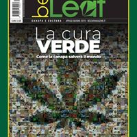 Beleaf Magazine Website