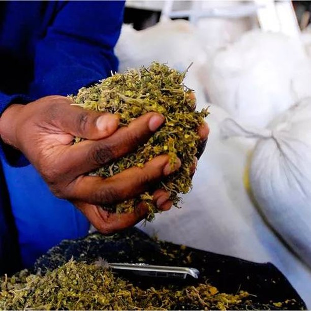 Freedom Road Dispensary - Brickyard Website