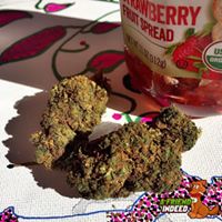 A Friend Indeed Website