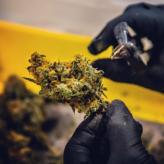 Cinder - Downtown Spokane Website