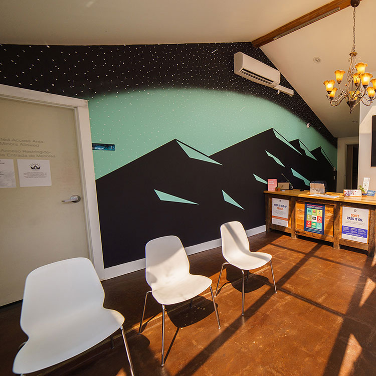 Cannabliss & Co. - BLVD Website