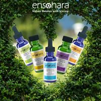 Ensohara INC Website