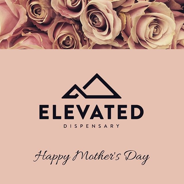 Elevated Longmont Website