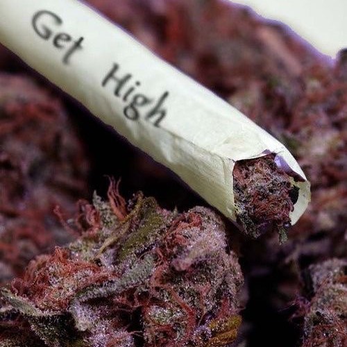 MMJDoctorOnline.com - Hayward Website