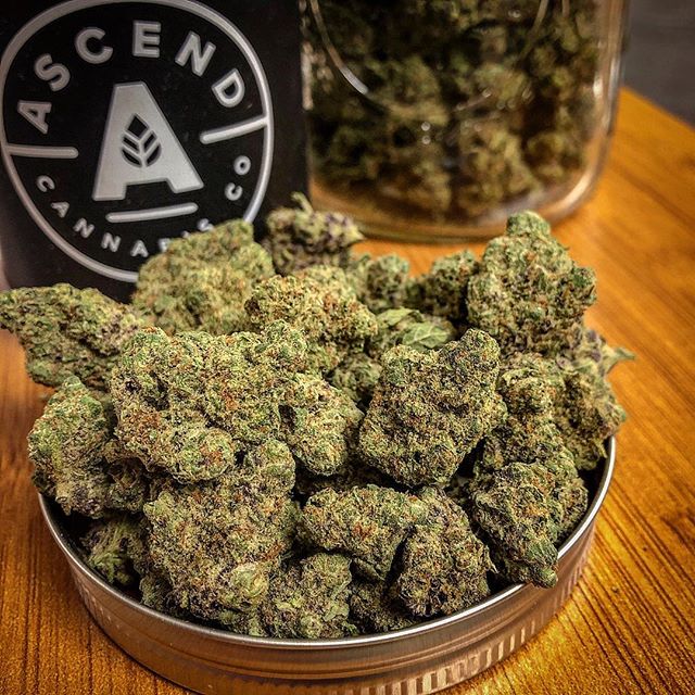 Ascend - Denver Website