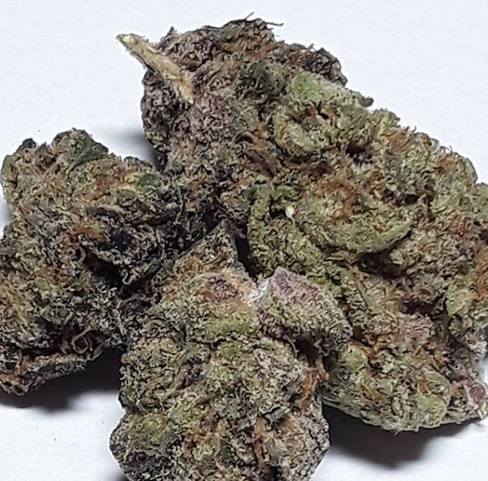 Green Envy Collective Website