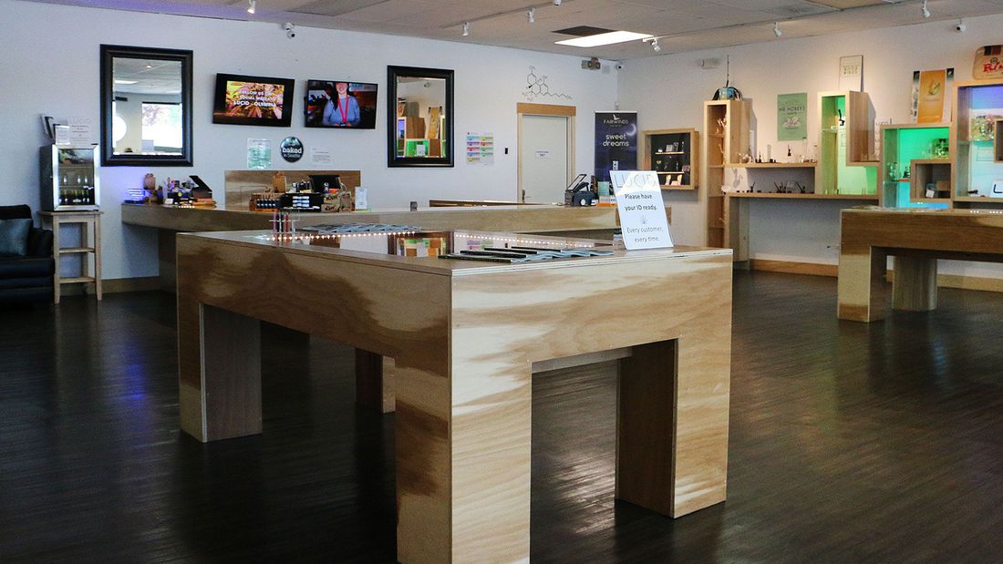 Lucid - Lacey Website