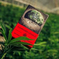 Mary Moonlight Website