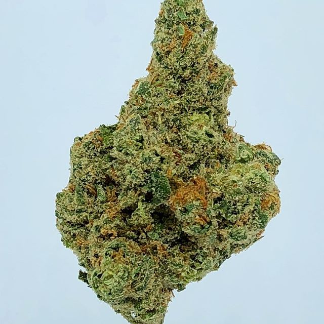 Budlandia - Division St. Website
