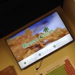 Green Oasis NE Website