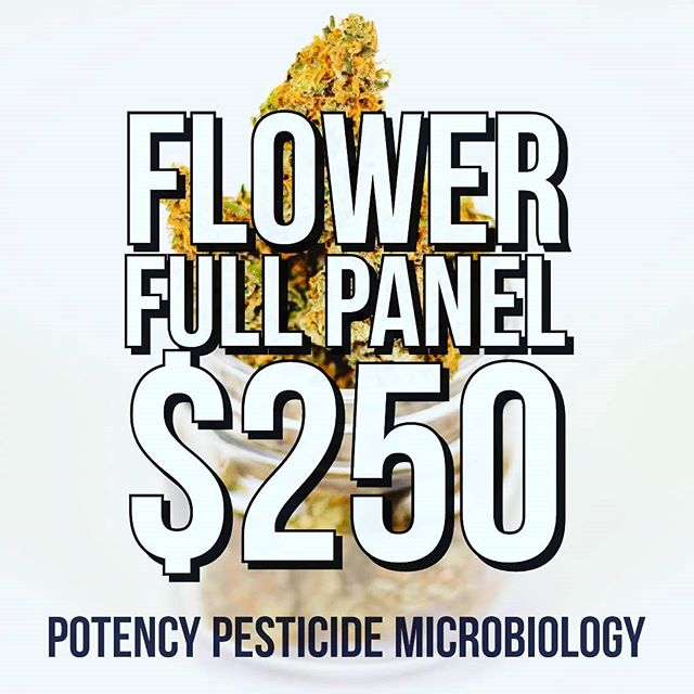 The Sequoyah Group, LLC Website