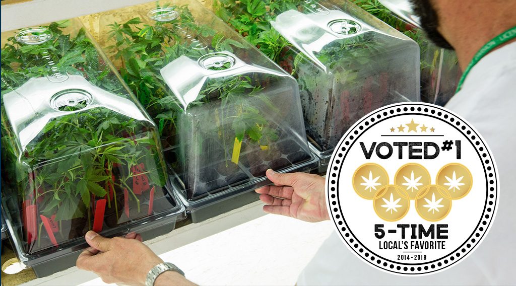 The Green Joint - Aspen Website