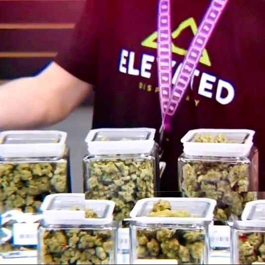 Elevated Longmont Website