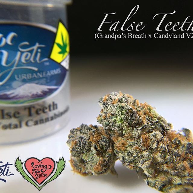 Loving Farms - Mount Vernon Website