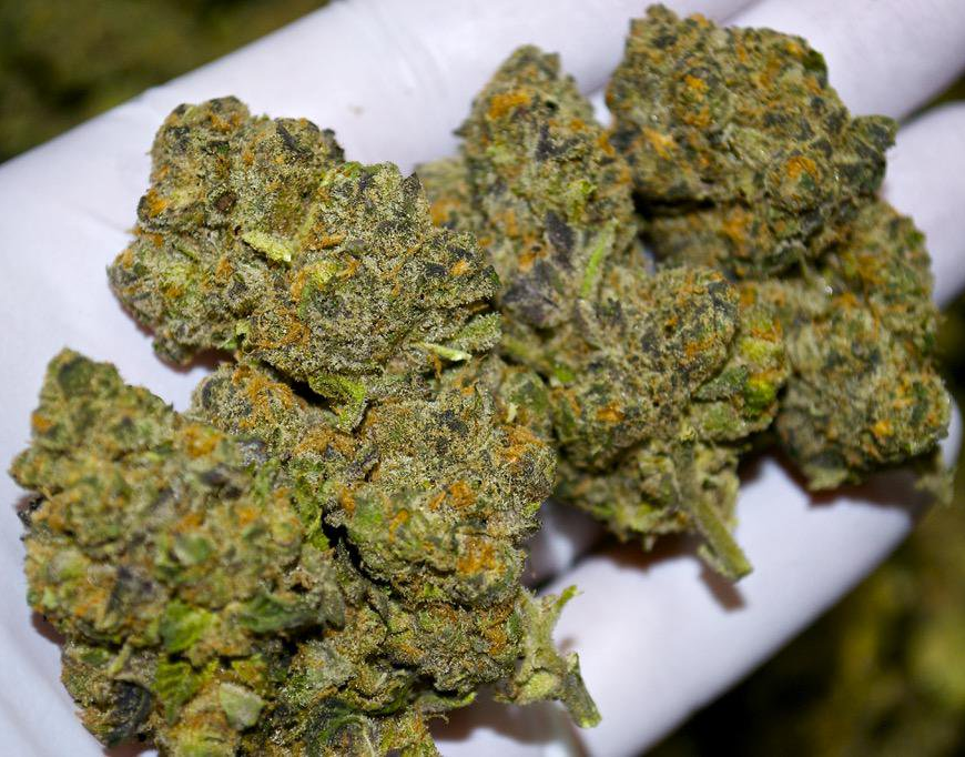 Magnolia Road Cannabis Co. Boulder (MED) Website