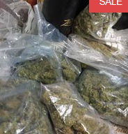 UNIVERSAL KUSH CO-OPERATION Website