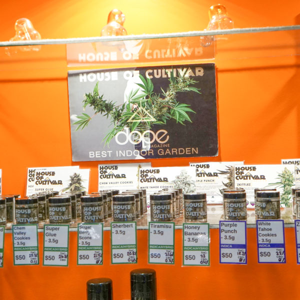 A Greener Today - Shoreline Website