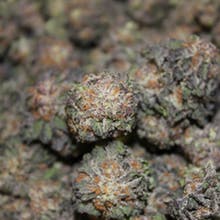 Pine Street Cannabis Company Website