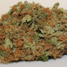 Pine Street Cannabis Company Website