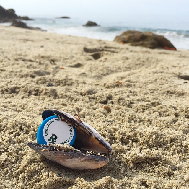 Collective Supply Website