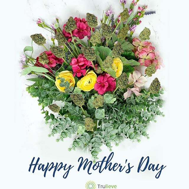 Trulieve - Dadeland Website