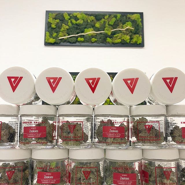 Synergy Redding Website